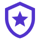 Shield Icon